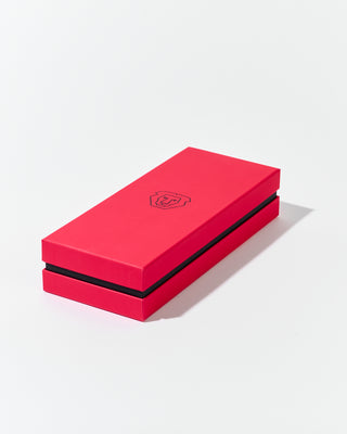 Plaukų šepetys "RACE"